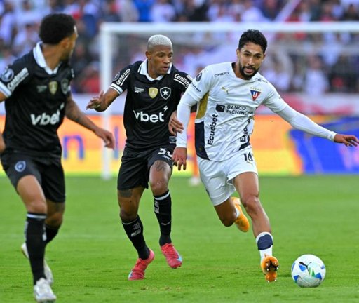 Botafogo, campeón vigente, eliminado de la Copa Libertadores