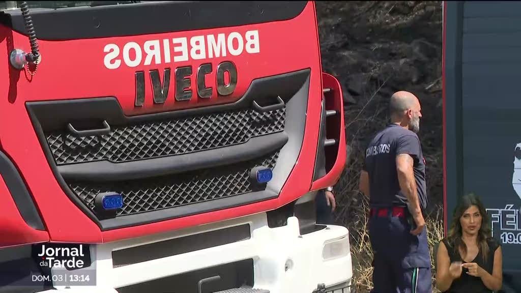 Voluntários mobilizam-se para levar água e feno a animais afetados pelo fogo em Ponte da Barca