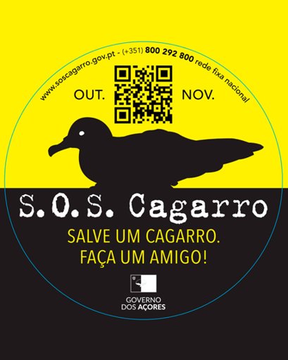 Madalena cria brigada de voluntários para salvar cagarras nos Açores