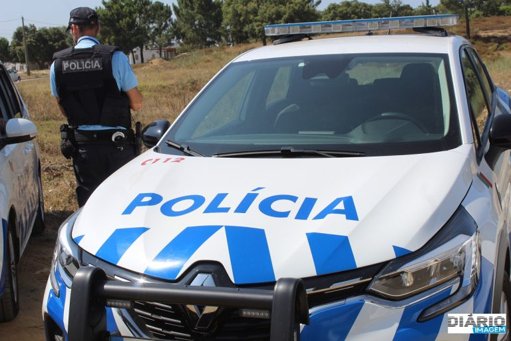 Casos de Maus-Tratos e Abandono de Cães Chocam o País