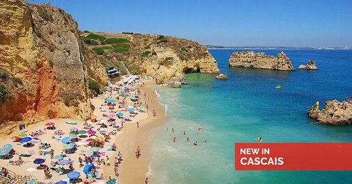 Alga Invasora Asiática Cobre Praias no Algarve e em Cascais, Ameaçando Turismo e Pesca