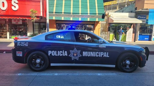 Consejo Ciudadano de Seguridad Pública rechaza cifras oficiales de delincuencia y denuncia manipulación de datos