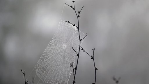 Avisos Meteorológicos para Frio, Chuva e Vento Forte em Portugal Continental e Madeira