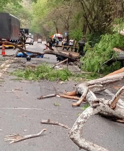Tragedia en la vía Neiva-Castilla: Padre e hijo mueren aplastados por la caída de un árbol