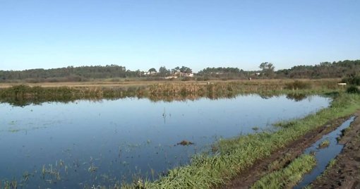 Cheias no Vale do Lis Submergem 600 Hectares e Causam Prejuízos Milionários
