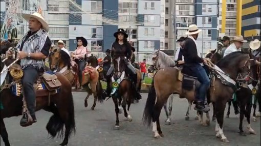 Desfile a caballo en Dosquebradas genera debate sobre la convivencia y el bienestar animal en el área metropolitana