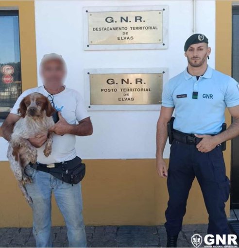 GNR de Elvas Recupera Cão Desaparecido e Promove Reencontro Emocionante