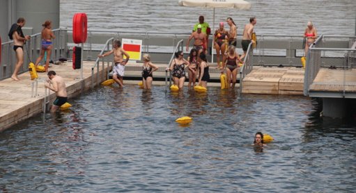 Baignade dans la Seine : la Cour des comptes pointe la "facture salée" du projet post-olympique