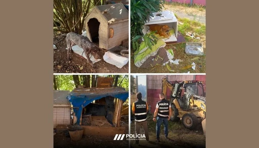 PSP Resgata Cinco Cães de Maus-Tratos em Sintra