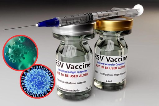 Crean vacuna universal de dosis única contra el virus H5N1 de la gripe aviar