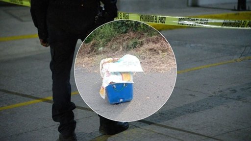 Se desata jornada de violencia en Veracruz con hallazgos de restos humanos y asesinatos