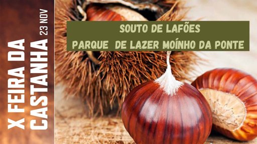 Oliveira de Frades celebra a décima edição da Feira da Castanha em Souto de Lafões