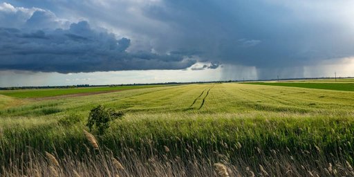 Apoios à agricultura nos Açores geram confronto político entre PS e Governo Regional