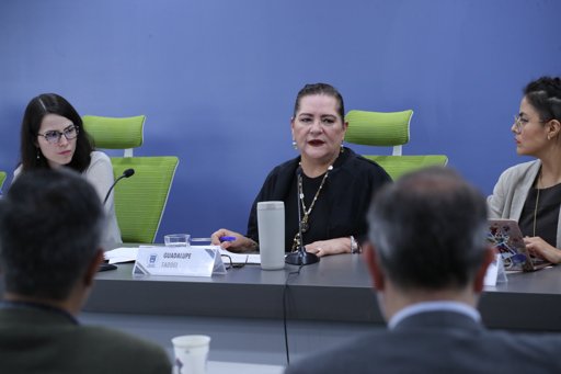 Guadalupe Taddei defiende permanencia de los Oples ante reforma electoral