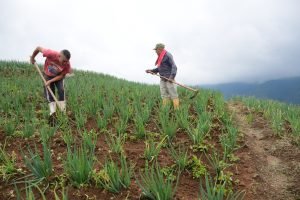 Economía colombiana crece 2,1 % en el segundo trimestre, por debajo de las expectativas
