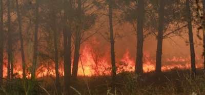 Morre operacional da Afocelca ferido no combate ao incêndio do Sabugal