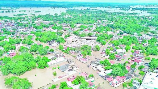 Asesinatos de líderes citrícolas en Michoacán y Veracruz exponen extorsión del crimen organizado