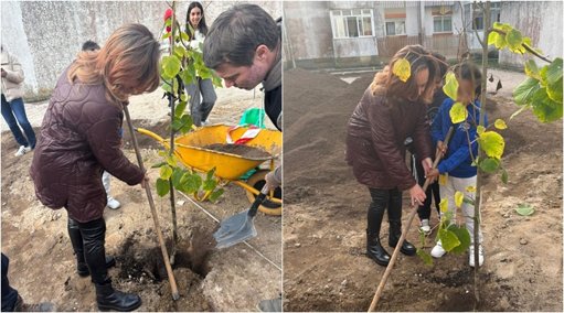 Jardim Comunitário em Sintra Promove Laços Entre Gerações