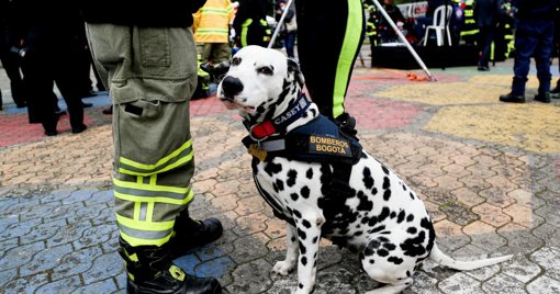 Ciudadano estadounidense desaparecido en cerro de Bogotá es hallado con vida tras intensa búsqueda