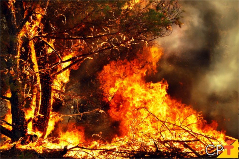 Incêndios no Norte Obrigam ao Corte de Estradas Nacionais e Autoestradas
