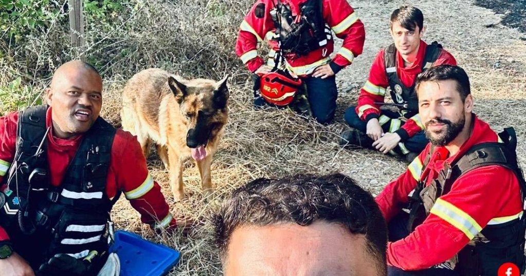 Cão Resgatado em Penafiel Demonstra Gratidão e Lealdade aos Bombeiros