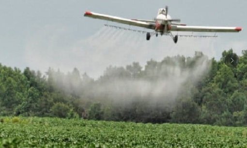 Petro plantea reactivar la fumigación aérea en zonas de ataques a la Fuerza Pública