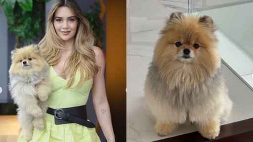 Lina Tejeiro despide a su perro Romeo con un conmovedor mensaje en redes