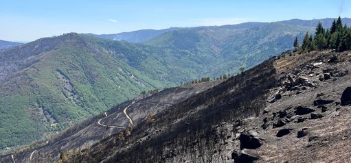 Autarcas Criticam Inação do Governo no Plano de Revitalização da Serra da Estrela