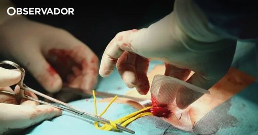 Atrasos no Plano de Emergência da Saúde Agravam Pressão sobre Urgências