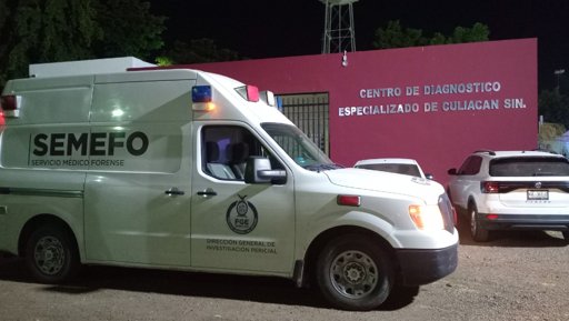 Por primera vez en Sinaloa, Fiscalía realiza necropsia a perro asesinado en ataque armado