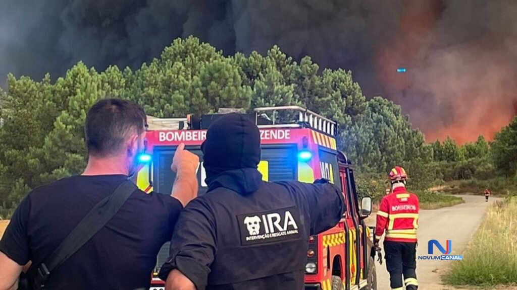 Resgates de Animais em Incêndios Marcam o Verão