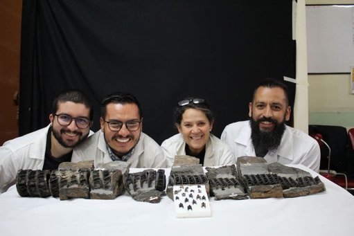 Descubren en Villa de Leyva el fósil de tiburón gigante más antiguo y completo del mundo