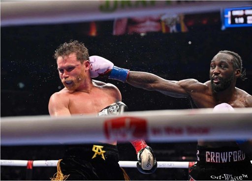 Reacciones del Clan Benavidez: Celebración y Cambio de Rumbo