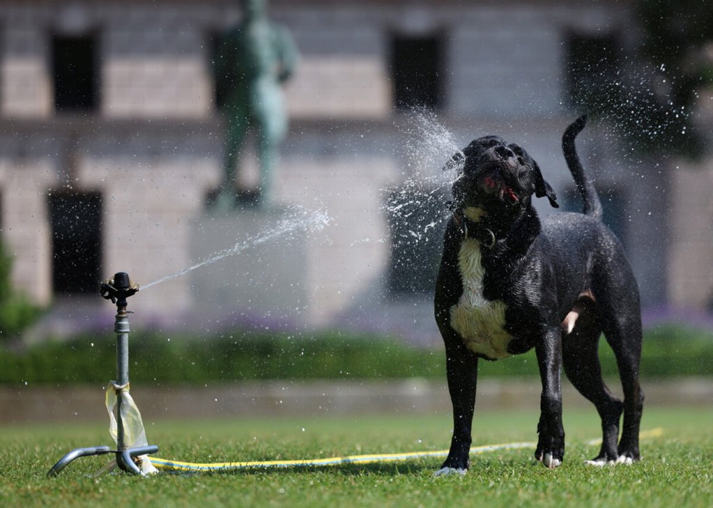 Onda de calor extremo coloca Portugal sob alerta e motiva avisos de saúde pública