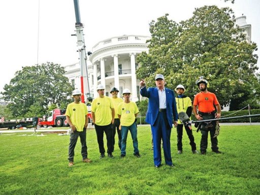 Trump Deja su Huella Arquitectónica en la Casa Blanca con Lujosas Renovaciones