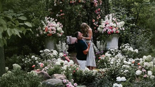 Noivado de Taylor Swift e Travis Kelce Quebra Recordes na Internet