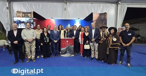 Feira D'Aires em Viana do Alentejo Reafirma-se como Pilar Económico e Social da Região