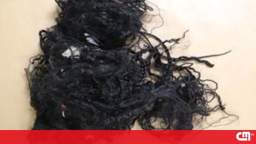 PJ Pede Colaboração Pública para Identificar Pais de Bebé Encontrado Morto no Lixo