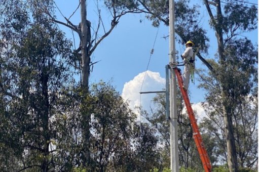 CFE enfrenta desafíos con deuda a proveedores y mejora tiempos de respuesta ante emergencias
