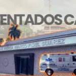 Víctimas silenciosas: mascotas mueren o resultan heridas en incendios, accidentes y ataques armados