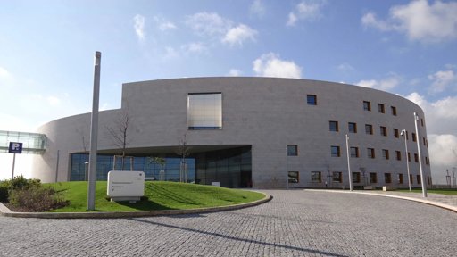 Movimentos faciais de ratinhos revelam as suas estratégias de pensamento