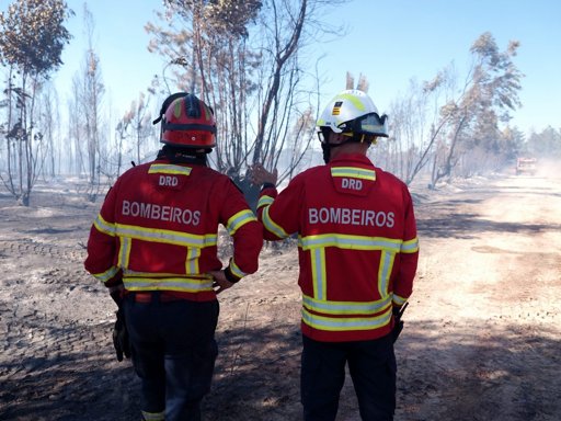 Portugal é o Terceiro Pior da UE a Investir na Proteção Contra Incêndios