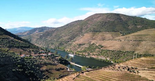 Feira da Maçã de Armamar celebra a agricultura, gastronomia e cultura da montanha