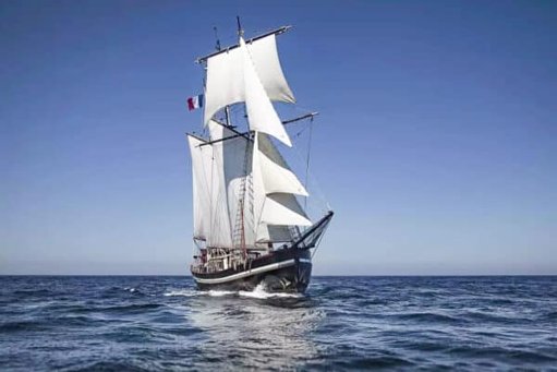 Le voilier "Le Bel Espoir" et ses jeunes ambassadeurs de paix accostent à Marseille