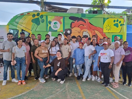 Jornadas de esterilización y vacunación masiva buscan controlar la población y salud de animales de compañía en varias regiones