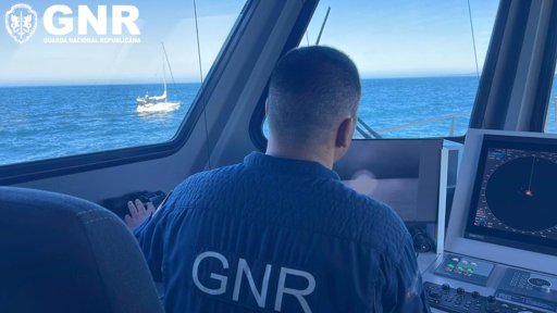 Incidentes com Orcas na Costa da Caparica Levam a Alertas e Intervenções da GNR