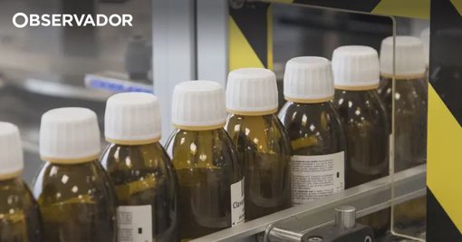 Portugal Supera Média Europeia no Consumo de Antibióticos, Aumentando Risco de Resistência