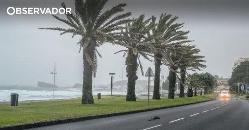 Autoridades emitem avisos de mau tempo para Portugal Continental e ilhas