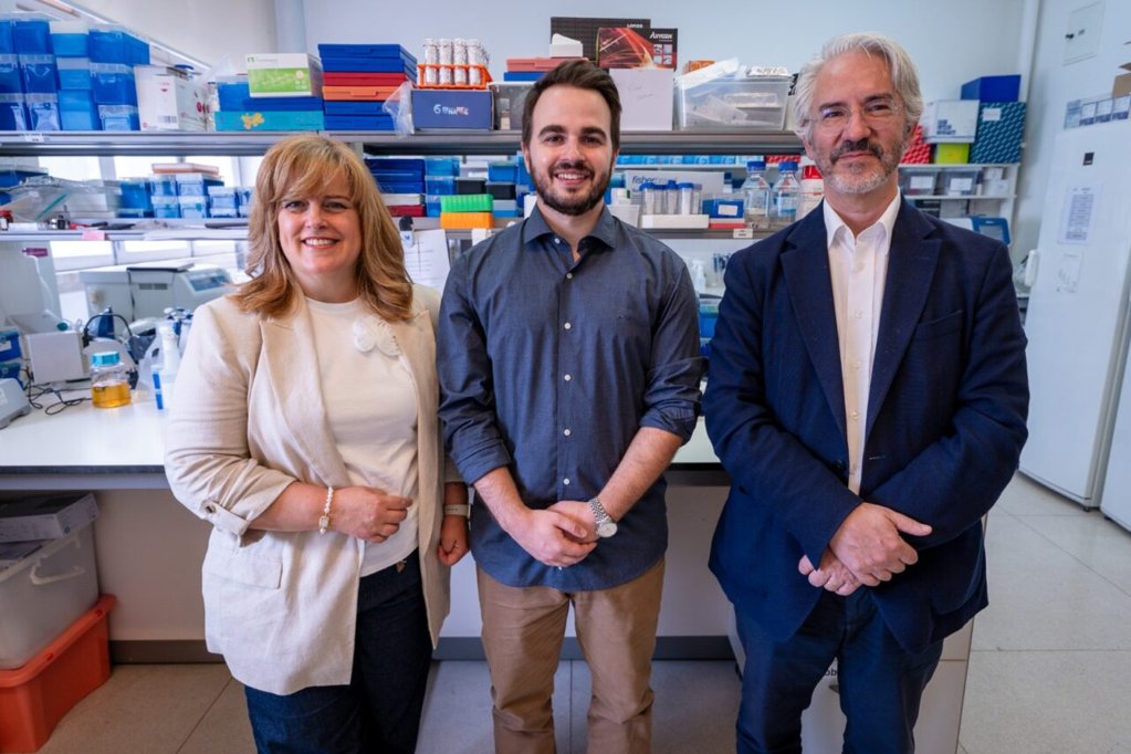 Doença de Machado-Joseph Afeta Relógio Biológico dos Doentes, Revela Estudo de Coimbra