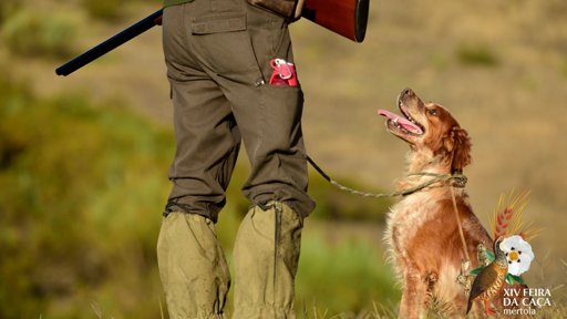 XVI Feira da Caça de Mértola debate desafios do setor e celebra tradições